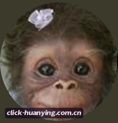 张明