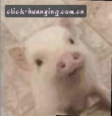 吴刚